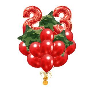 Красное облако шаров с цифрами 23