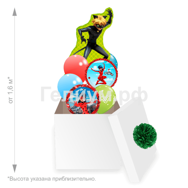 Коробка с шарами Супер Кот