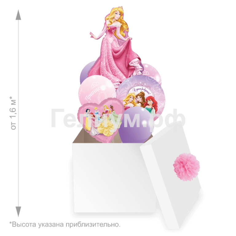 Коробка с шарами Спящая красавица