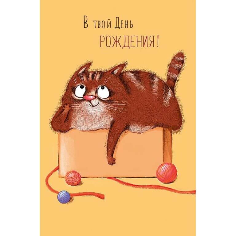 Открытка  В твой день рождения! (котик)