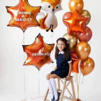 Набор шаров Снова в школу