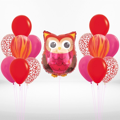 Набор воздушных шаров Сова