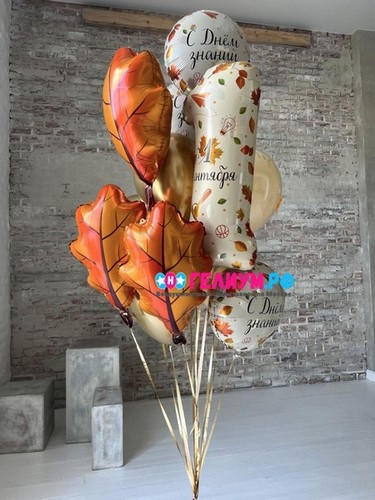 Фонтан шаров день знаний, 1 сентября