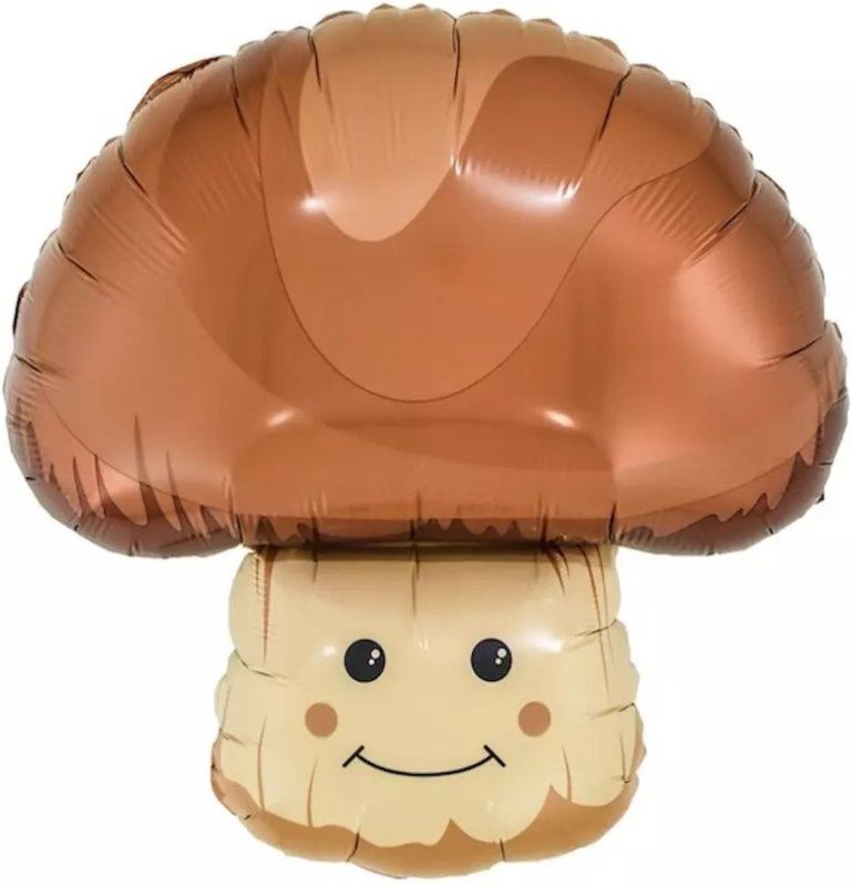 Фигура, Гриб Боровик, 45см