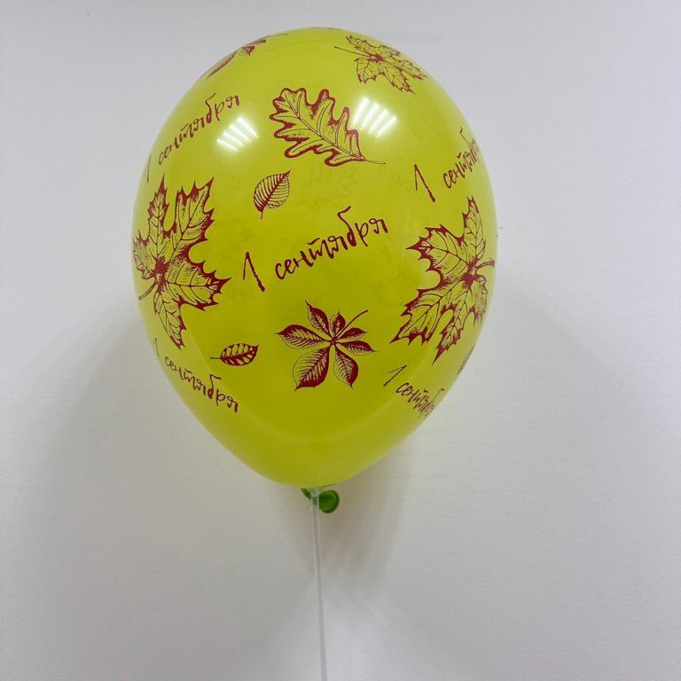 Шар на палочке 1 сентября (с воздухом)