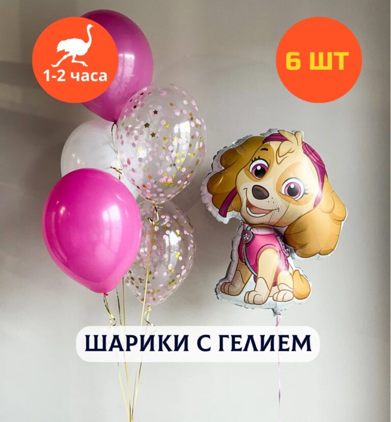Набор шаров для девочки Щенячий патруль Симпатяга Скай, Купить Шары, 6 шт.
