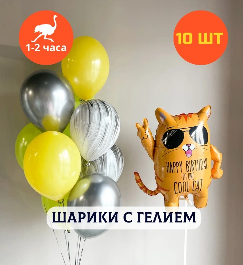 Шарики воздушные на день рождения, воздушные шары с гелием Стильный кот, Купить шары, 10 шт